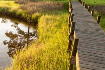 politica ambientale x box.gif