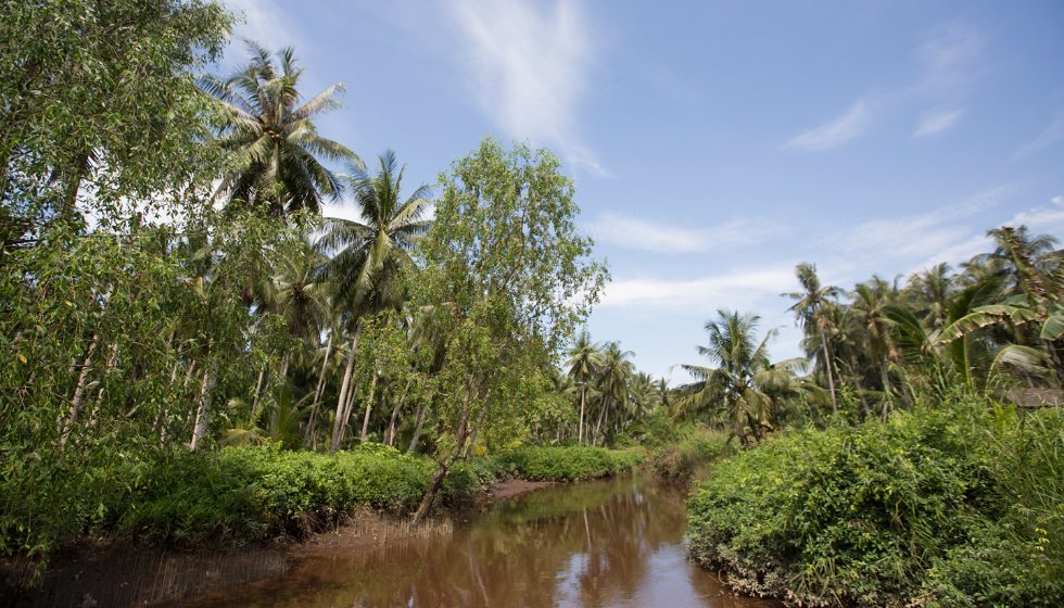 Borneo forest_def.png