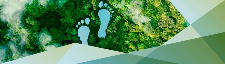 P1H VP_13.04.2023_9.1jpg.jpg