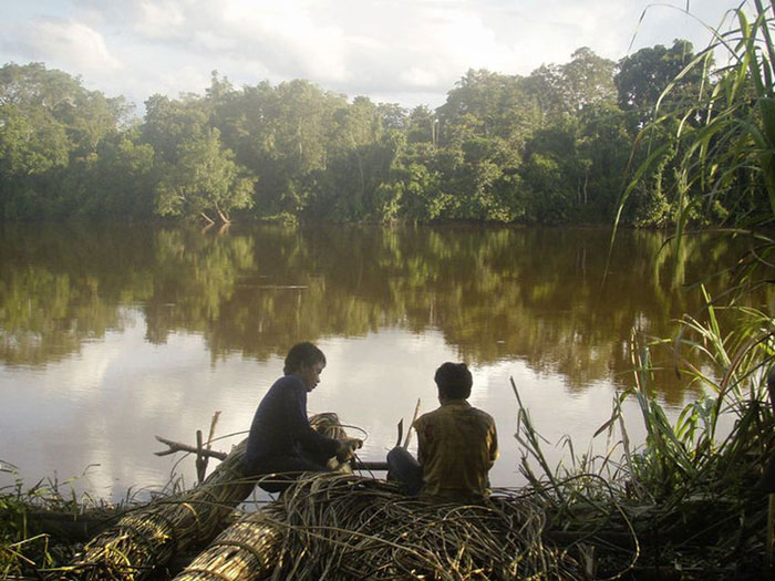 compensareco2foreste.jpg