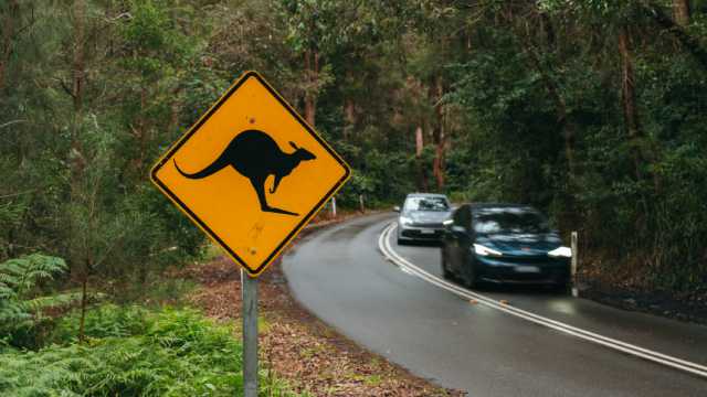 personeskodaaustralia.jpg
