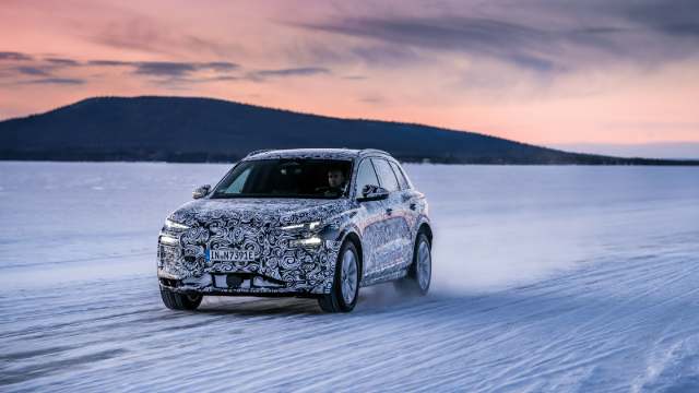 lavoroelettricoq6etron.jpg
