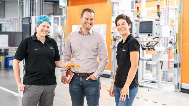 lavoroelettricovorsprung.jpg